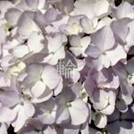 11251944_801172103330805_1176520867_a