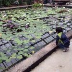 11311265_709470622520581_1396596749_a