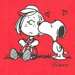 11349410_1026710064040468_841781772_a