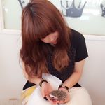 11351795_1444460535883312_1493861312_a