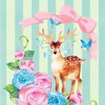 11195685_1610898372516021_569254432_a