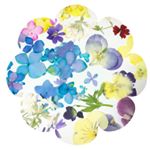 11917819_310395365751530_866094169_a