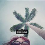 11934642_630592413710818_1233996357_a