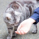 11809863_144873762518861_1755713824_a