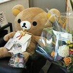 11350690_445647368974012_1236502544_a