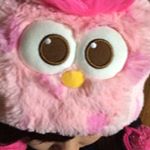 11357777_132880773716482_1166230515_a