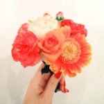 11358079_1010688718965168_241401186_a