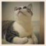 11375399_830202213763277_2138301969_a