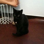 11887047_1671219279757179_573900669_a