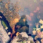 11419111_1645136965767937_1536309310_a