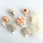 10919143_1392802804356837_1221500423_a