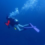 11809886_865795976790163_1675974317_a