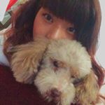 11821648_149304305408350_782441251_a