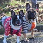 11263607_1469400680017448_1746329713_a