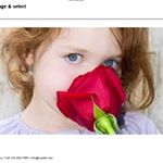 11950543_1482709378717900_1904691467_a