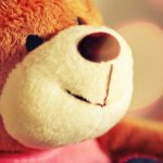 10598377_1551227988463028_1904899722_a