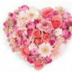 11821851_110138019334372_796568289_a