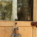 11850409_1603196063275376_1984179951_a