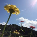 11055961_356668737858536_1437559524_a