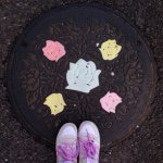 10706685_294864190713543_130408149_a