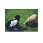 11917892_1487703421540890_453404977_a