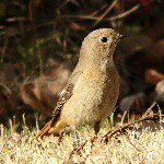 10838742_1534835110121448_954667235_a