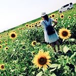 11350689_954426114623677_1808764927_a