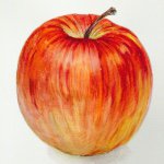 11260673_755733891190997_1988061074_a