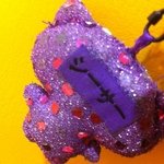 11313584_1166039660078627_474680527_a