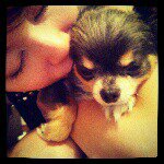 11252507_1599356753659133_1696949015_a