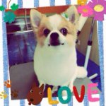 10608020_560891154038882_1847876159_a