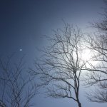 11142984_760291734092181_1260137607_a