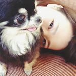 11355951_996626470350549_1769484012_a