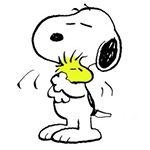 11820479_1227867017238909_183193816_a