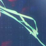 11426352_450782225099643_1261817596_a