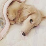 11266719_958667314156245_1096344719_a