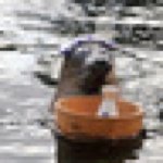 11356619_1622285338039491_100919507_a