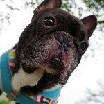 10593284_741106489282982_930515189_a