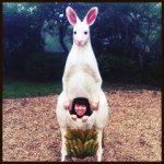 10655017_1668399473386543_349546203_a