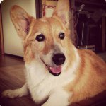 11253609_673465459451740_1269139025_a