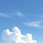 11326326_866385413416491_913779020_a