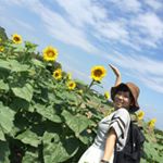 11850243_483487025166103_129548007_a