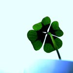 11939593_394621527393493_546965175_a