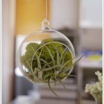 10643923_726424480756267_1393025846_a