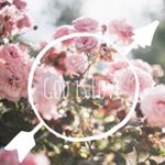 11311542_809961352434445_171748931_a