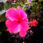 11313282_1607227749556490_572711665_a