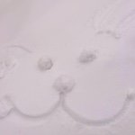 10549665_1634629813423668_1915459087_a