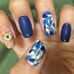 11939492_588786014592430_70808254_a