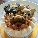 10808536_302847893245840_810905834_a