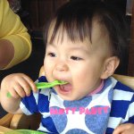 11377925_1674553209444895_943997079_a